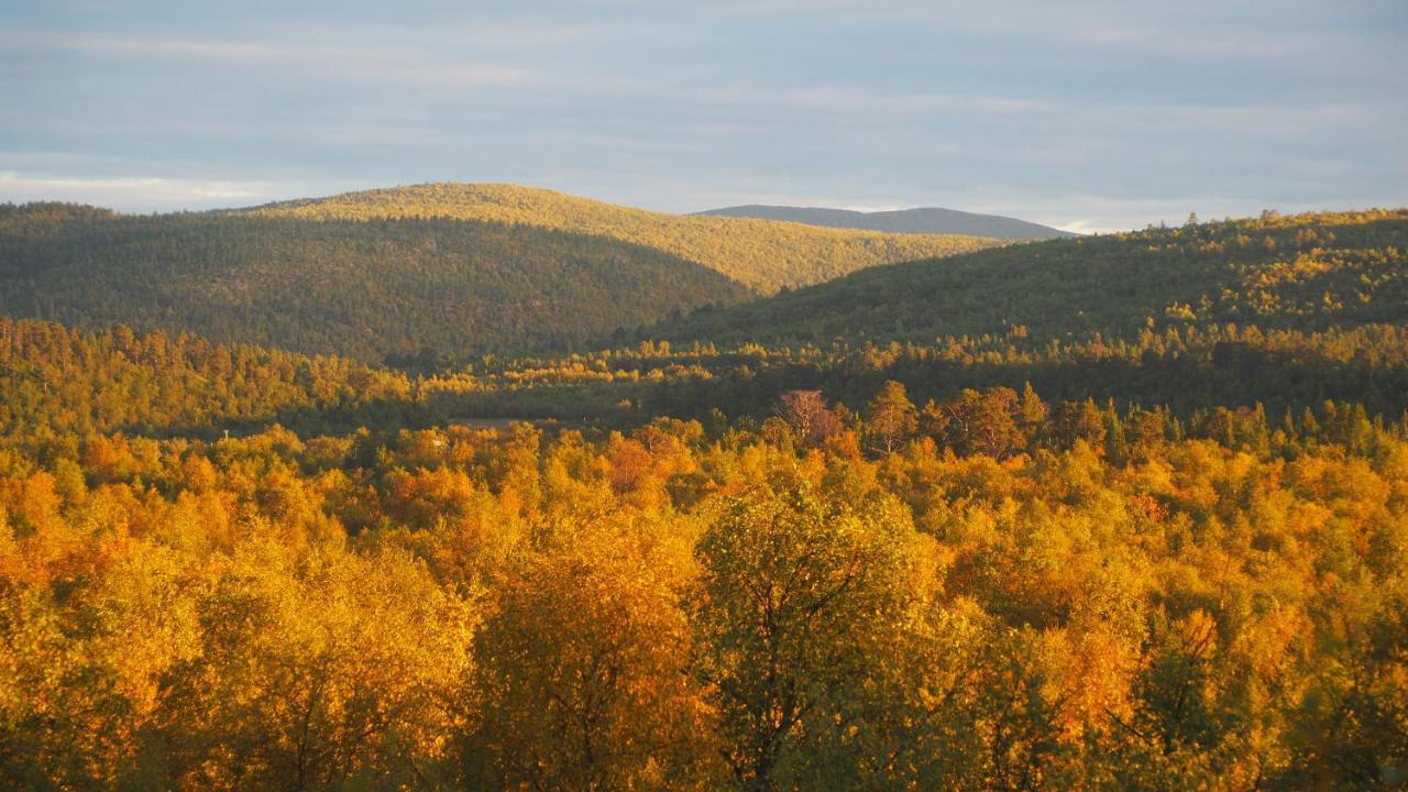 Lomakeskus Napakettu Villa Karigasniemi Exteriör bild